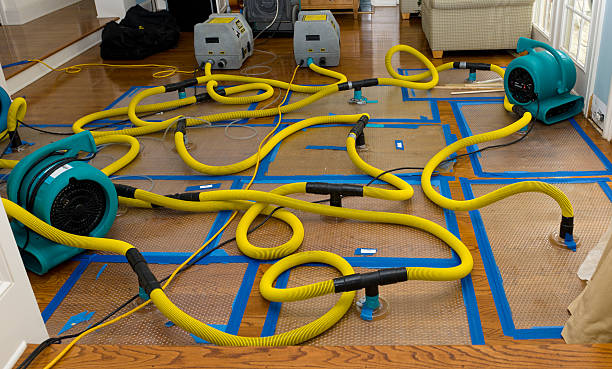 Professional Burst Pipe Water Damage technician working in Nazareth, MI